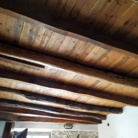 Nyaraló Cozy Nest